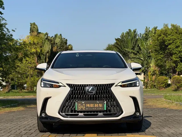 Lexus NX — Фото автомобиля 2
