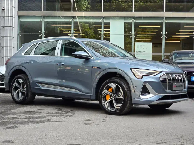 Audi e-tron — Фото автомобиля 3