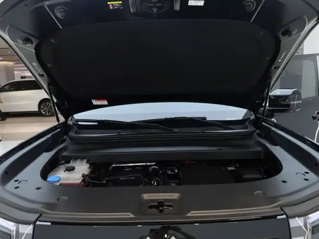BYD FangChengBao Titanium 7 — Фото автомобиля 20