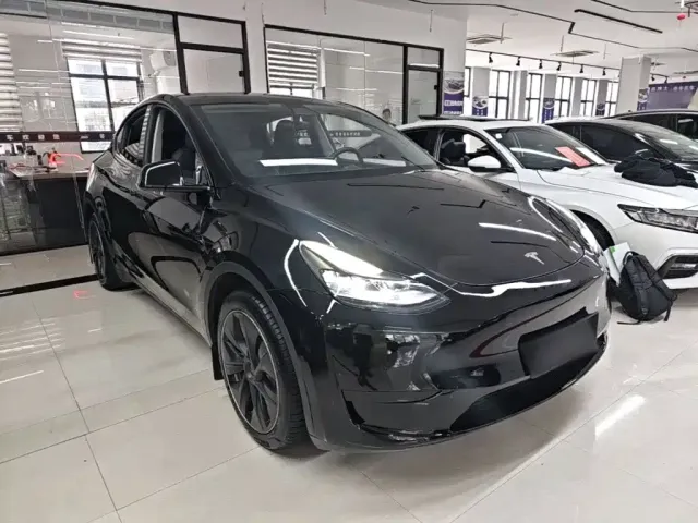 Tesla Model Y — Фото автомобиля 3