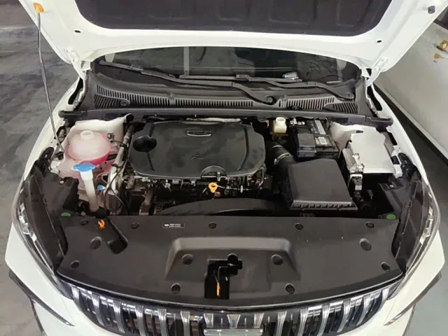 Geely Binrui — Фото автомобиля 15