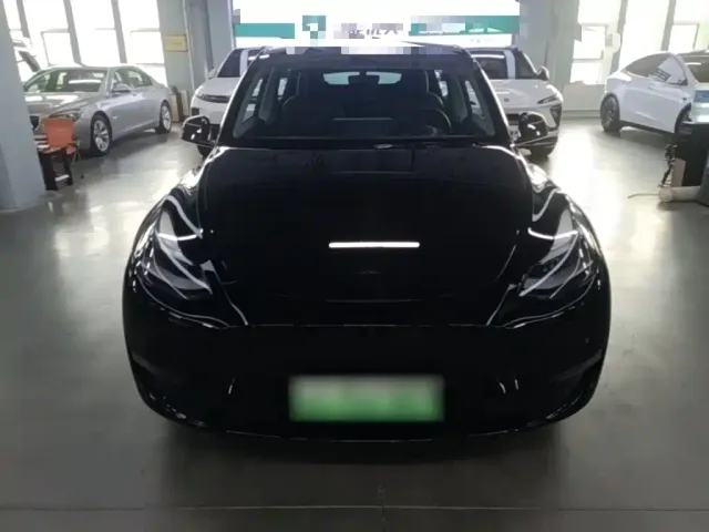 Tesla Model Y — Фото автомобиля 2