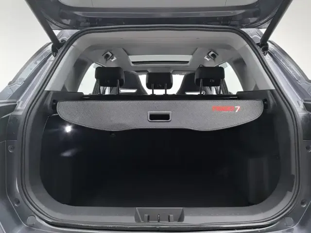 Chery Tiggo 7 PLUS — Фото автомобиля 16