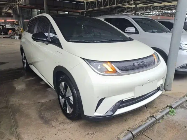 BYD Dolphin — Фото автомобиля 3