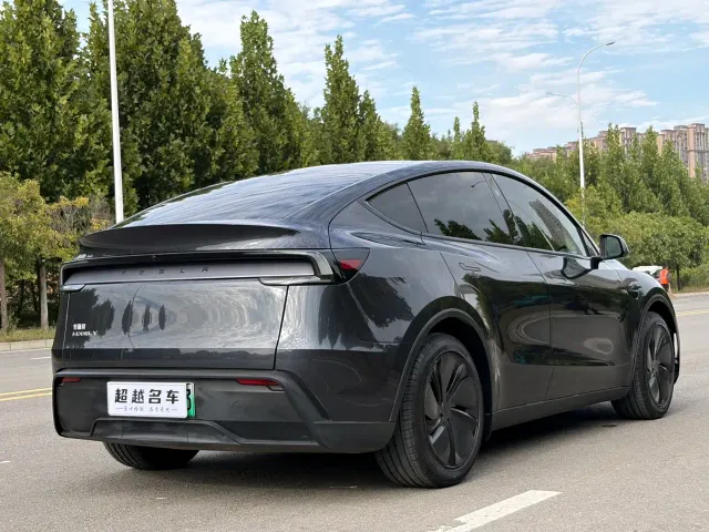 Tesla Model Y — Фото автомобиля 17