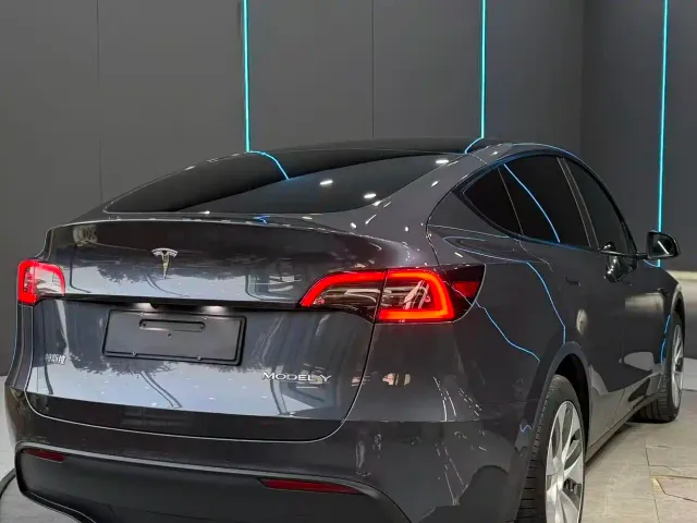 Tesla Model Y — Фото автомобиля 6