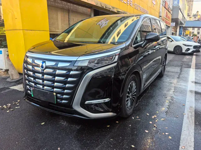 Фотография автомобиля — Denza D9