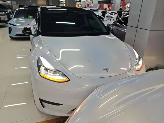 Tesla Model Y — Фото автомобиля 2