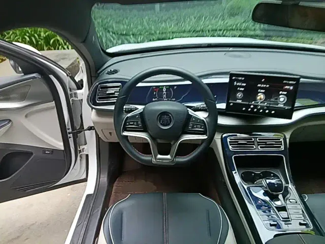BYD Qin PLUS — Фото автомобиля 10