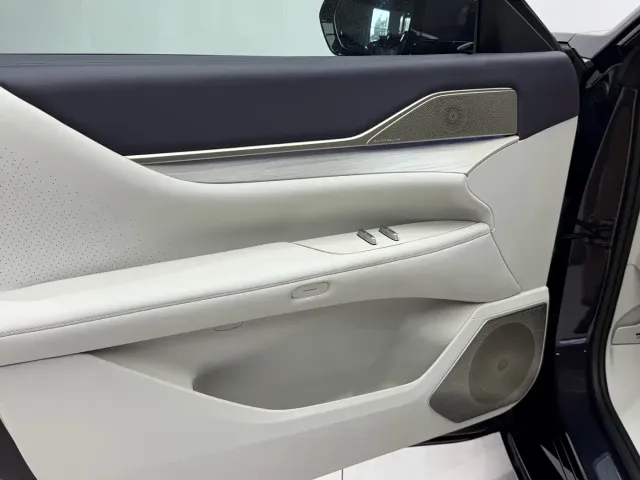 Buick Electra L7 — Фото автомобиля 8