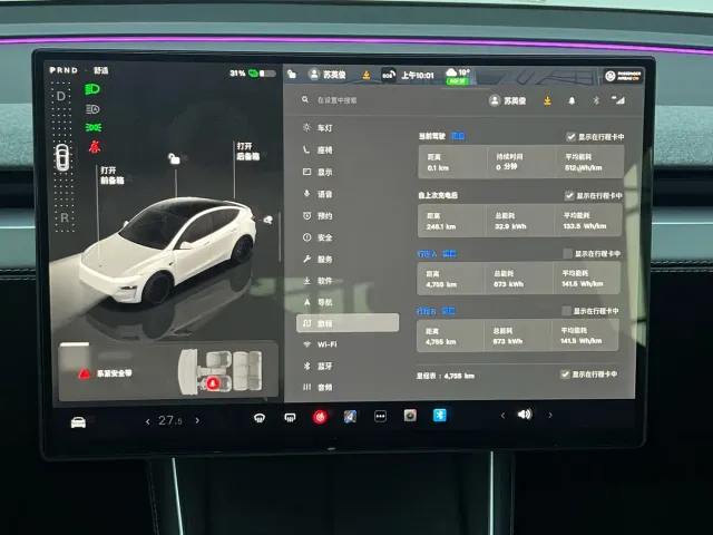 Tesla Model Y — Фото автомобиля 10
