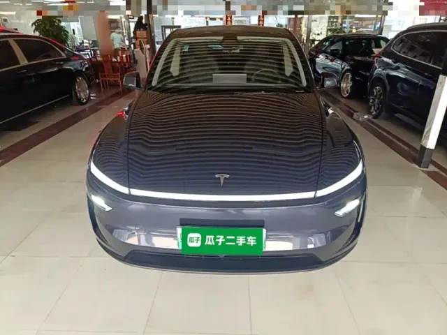 Tesla Model Y — Фото автомобиля 2