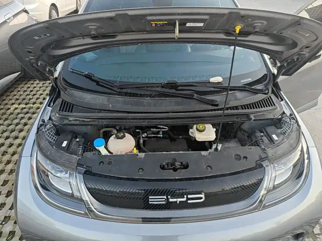 BYD Dolphin — Фото автомобиля 19