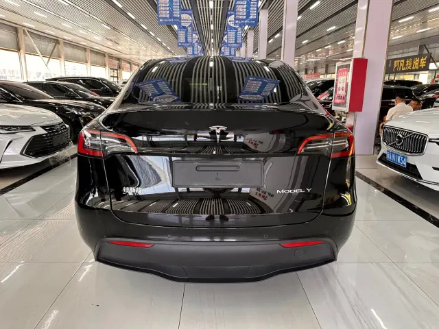 Tesla Model Y — Фото автомобиля 5