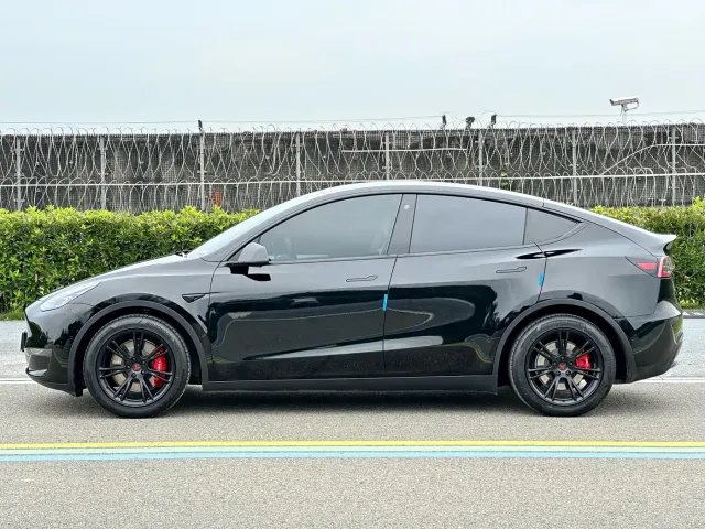 Tesla Model Y — Фото автомобиля 4