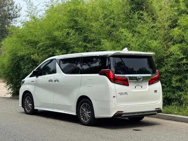 Toyota Alphard — Фото автомобиля 15