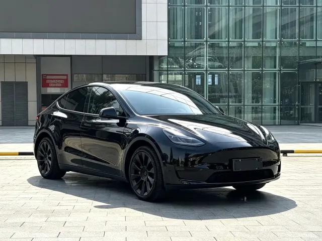 Tesla Model Y — Фото автомобиля 3