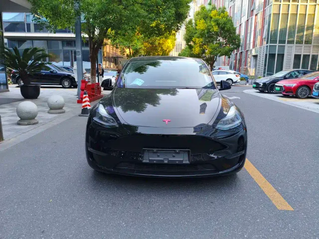 Tesla Model Y — Фото автомобиля 2