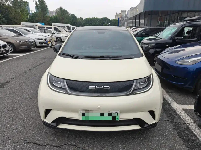 BYD Dolphin — Фото автомобиля 2