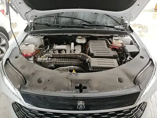 BYD Qin PLUS — Фото автомобиля 19