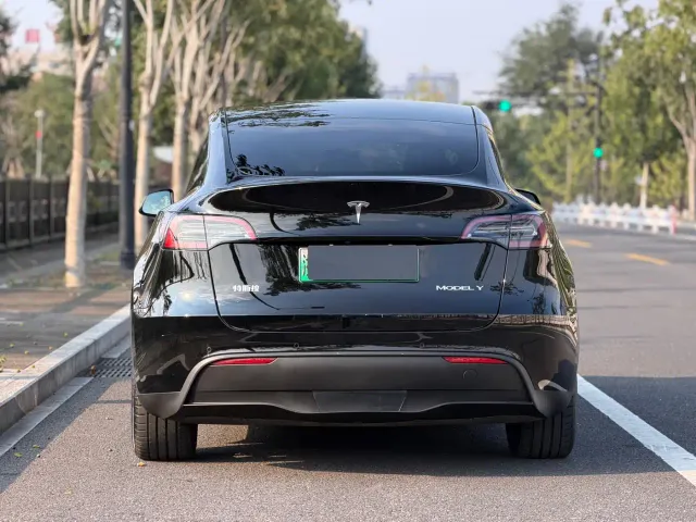 Tesla Model Y — Фото автомобиля 6
