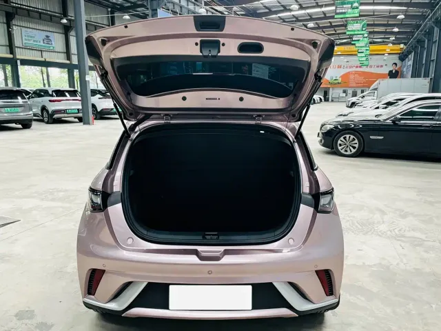 BYD Dolphin — Фото автомобиля 19