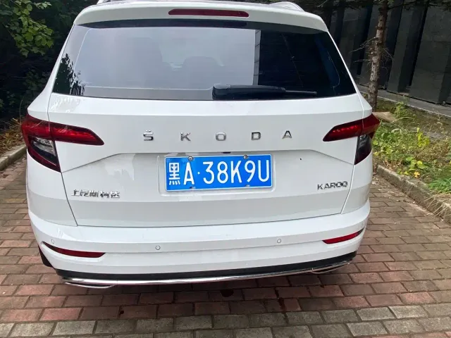Skoda Karoq — Фото автомобиля 5
