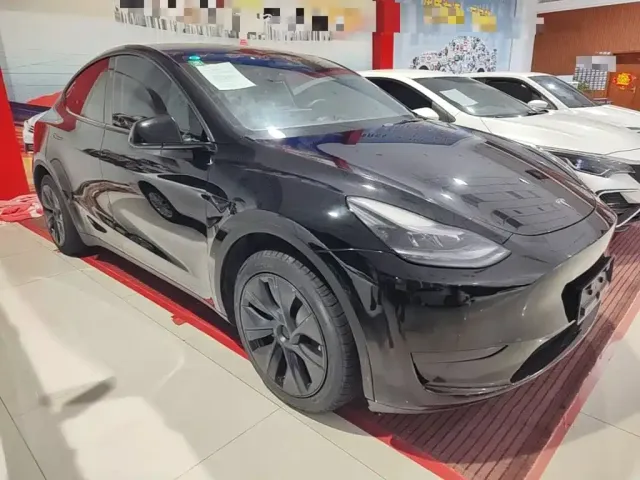 Tesla Model Y — Фото автомобиля 3