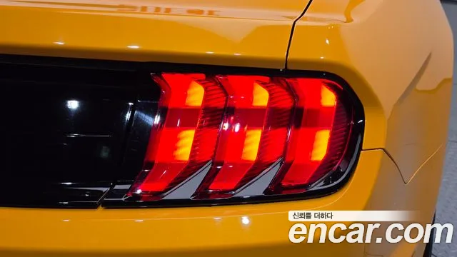 Ford Mustang — Фото автомобиля 21