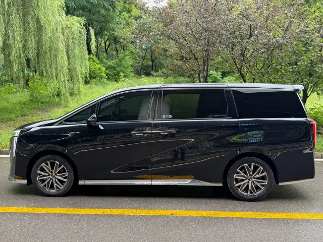 GAC Trumpchi M8 — Фото автомобиля 9