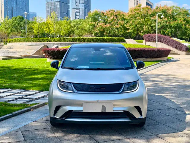 BYD Dolphin — Фото автомобиля 2