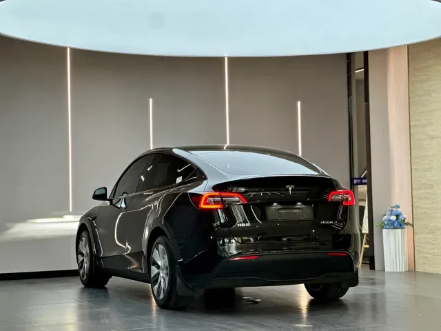 Tesla Model Y — Фото автомобиля 10