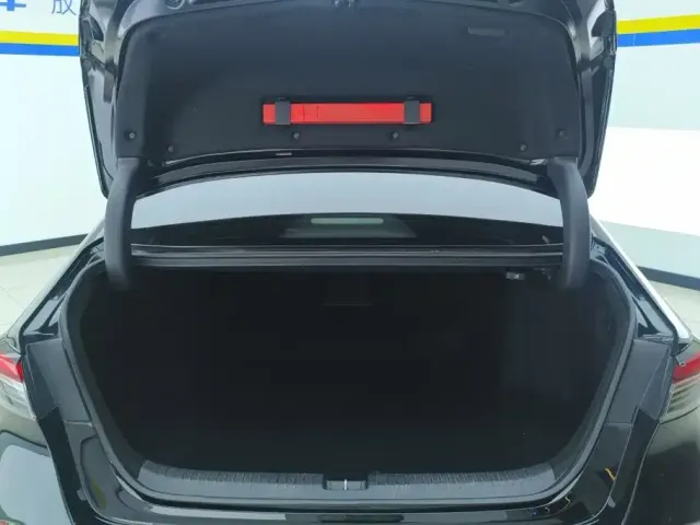 Honda Inspire 2023 260TURBO Delicate Edition — Фото автомобиля 4