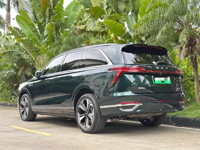 Wey Lanshan — Фото автомобиля 5