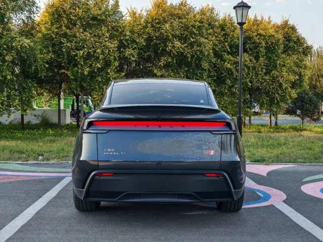 Tesla Model Y 2025 Model Long Range All-Wheel Drive Launch Edition — Фото автомобиля 5