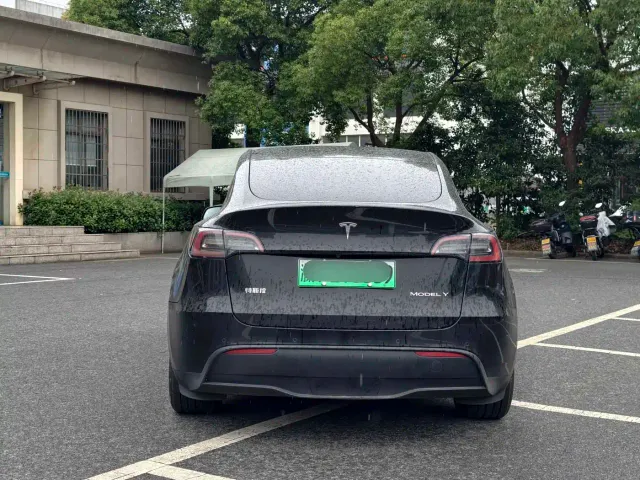 Tesla Model Y — Фото автомобиля 6