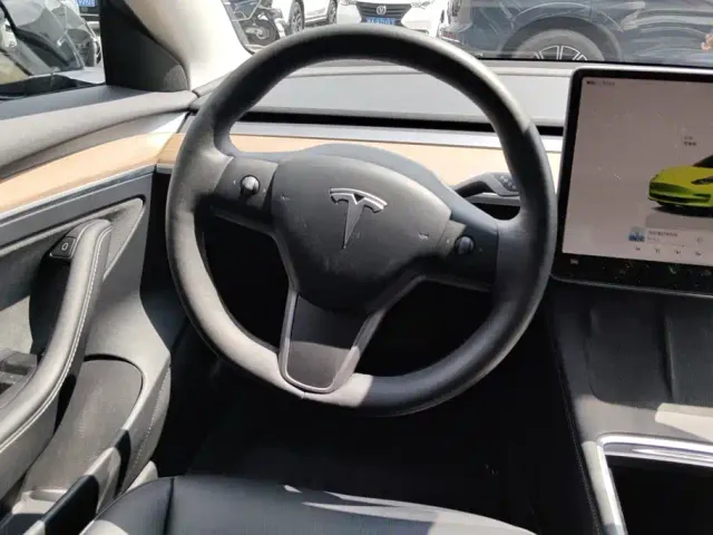 Tesla Model 3 — Фото автомобиля 15