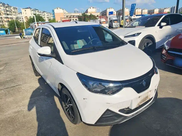 JMEV Xiaoqilin — Фото автомобиля 3