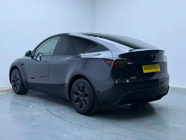 Tesla Model Y — Фото автомобиля 6