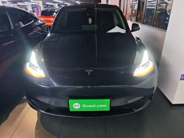 Tesla Model Y — Фото автомобиля 2