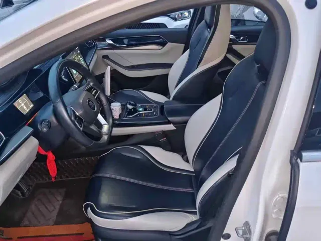 BYD Qin PLUS — Фото автомобиля 14