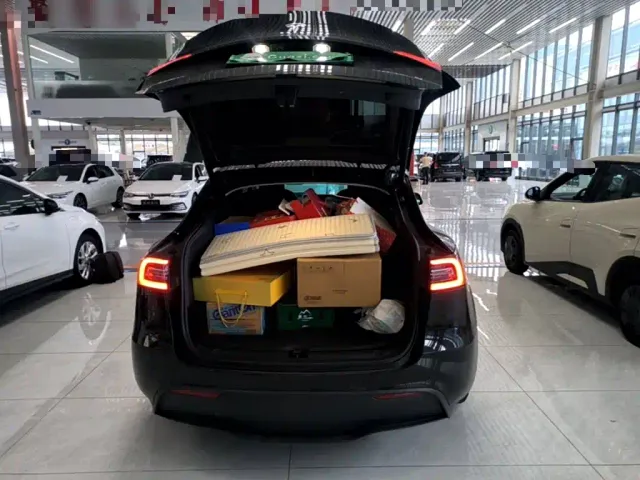 Tesla Model Y — Фото автомобиля 18