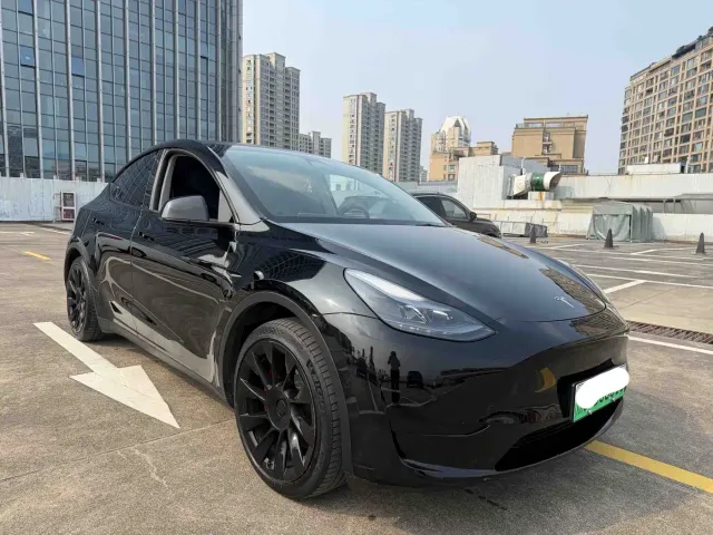 Tesla Model Y — Фото автомобиля 2