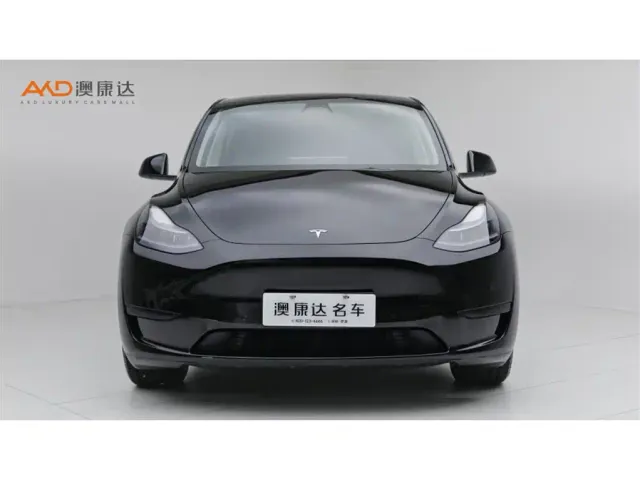 Tesla Model Y — Фото автомобиля 2