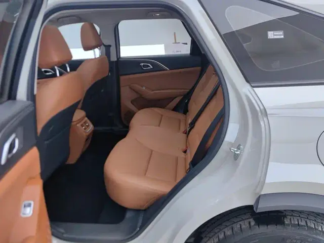 Haval Xiaolong MAX — Фото автомобиля 11
