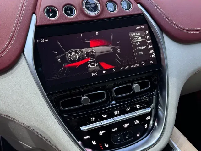 Aston Martin DBX — Фото автомобиля 10