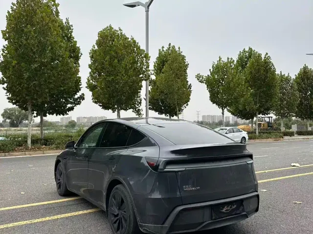 Tesla Model Y — Фото автомобиля 9