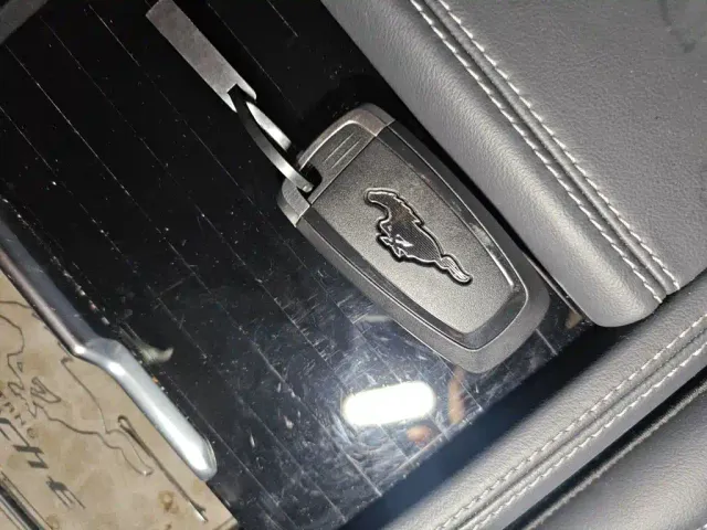 Ford Mustang Mach-E — Фото автомобиля 9