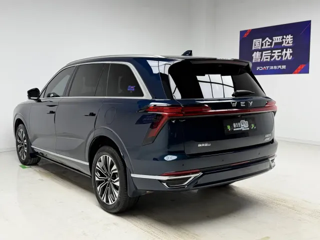 WEY Wey Lanshan 2023 2WD Long Range Edition — Фото автомобиля 6