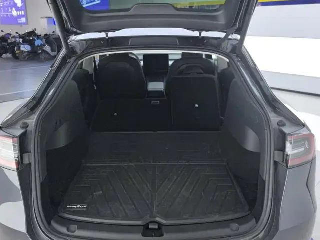 Tesla Model Y — Фото автомобиля 4